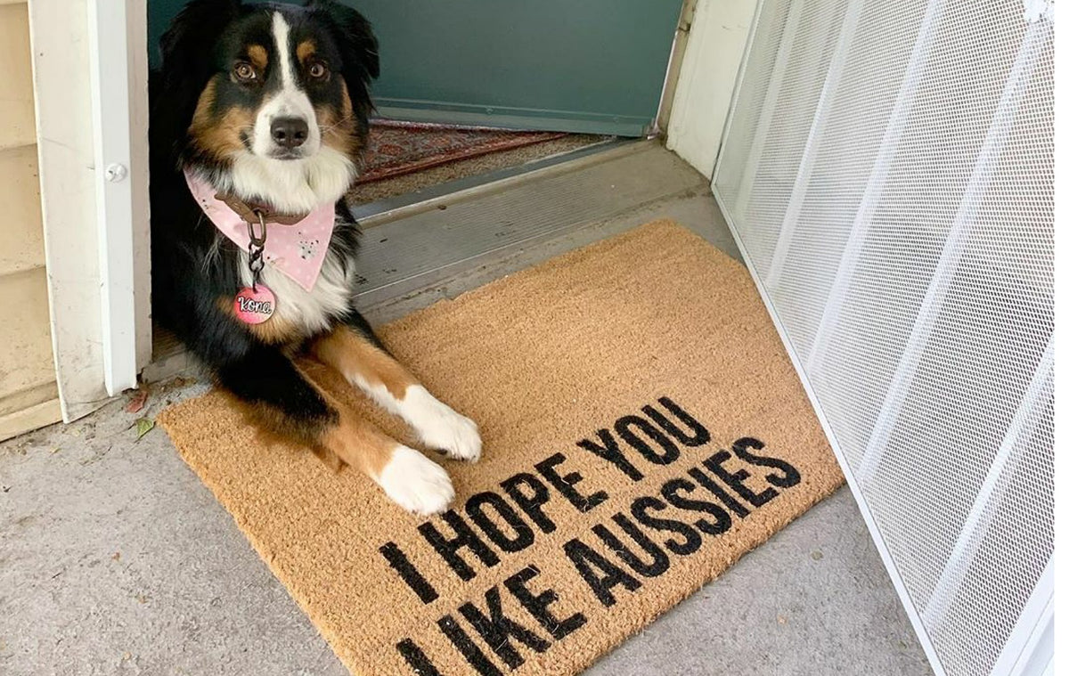 Hope you like dog hair welcome mat top