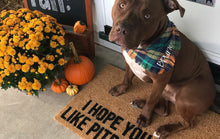 I hope you like pitbulls