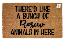 There's like a bunch of rescue animals in here