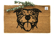 Pitbull Pittie Smiling