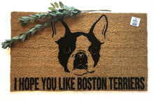 Boston Terrier