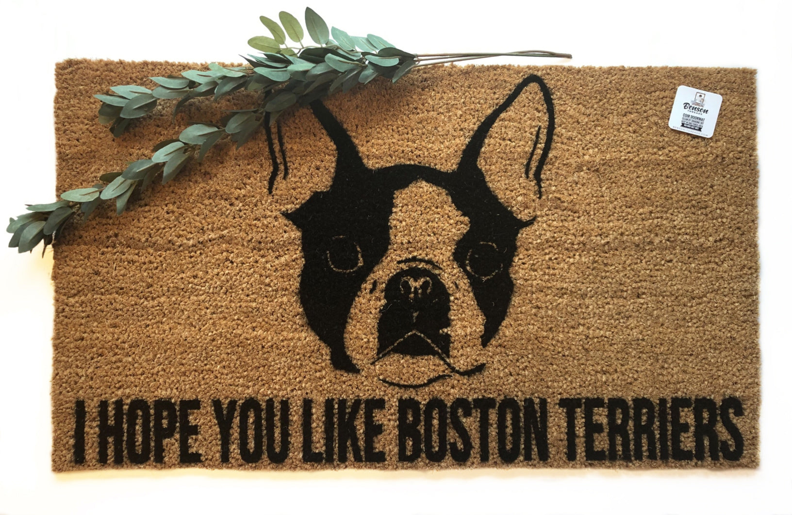 Boston Terrier